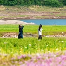 宁波旅游 缩略图 2