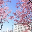 宁波旅游 缩略图 8