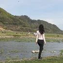 宁波旅游 缩略图 11