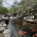 北京旅游 缩略图 3