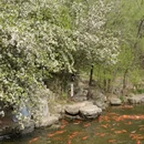 北京旅游 缩略图 2