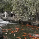 北京旅游 缩略图 4