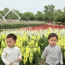 宁波旅游 缩略图 10
