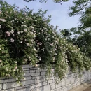 贵阳旅游 缩略图 11