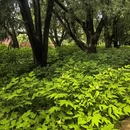北京旅游 缩略图 10