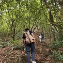 广州旅游 缩略图 8