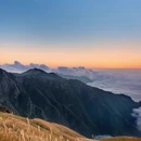 萍乡旅游 缩略图 3