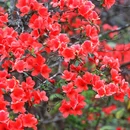广州旅游 缩略图 6