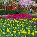 北京旅游 缩略图 7