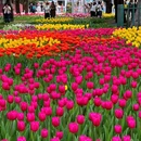 北京旅游 缩略图 10