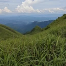 萍乡旅游 缩略图 3