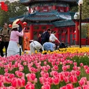 北京旅游 缩略图 9