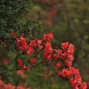 广州旅游 缩略图 5
