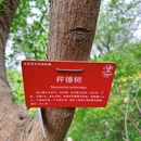 上海旅游 缩略图 18