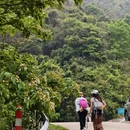 广州旅游 缩略图 4