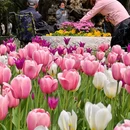 北京旅游 缩略图 8