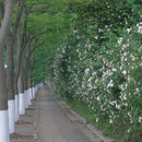 贵阳旅游 缩略图 3