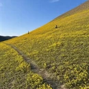 伊犁旅游 缩略图 5