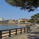 青岛旅游 缩略图 6