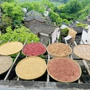 黄山旅游 缩略图 9