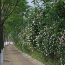 贵阳旅游 缩略图 4