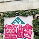 黄山旅游 缩略图 11