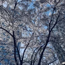 青岛旅游 缩略图 3
