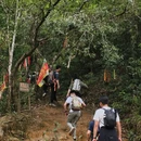 广州旅游 缩略图 7