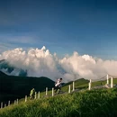 萍乡旅游 缩略图 9