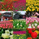北京旅游 缩略图 1