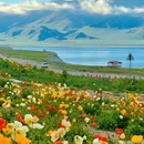 伊犁旅游 缩略图 3