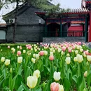 北京旅游 缩略图 4
