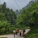 广州旅游 缩略图 9