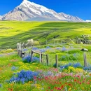 伊犁旅游 缩略图 4