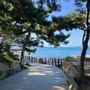 青岛旅游 缩略图 5