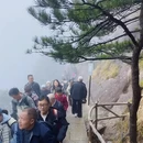 黄山旅游 缩略图 4