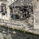 绍兴旅游 缩略图 5