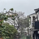 绍兴旅游 缩略图 1