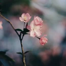上海旅游 缩略图 3