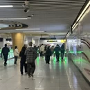 青岛旅游 缩略图 4