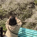大连旅游 缩略图 2