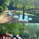 南京旅游 缩略图 6