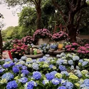 南宁旅游 缩略图 4