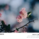 上海旅游 缩略图 5