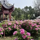 洛阳旅游 缩略图 1