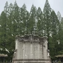 南京旅游 缩略图 1