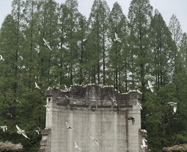 南京旅游 1