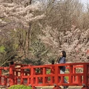 大连旅游 缩略图 4