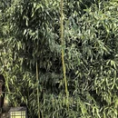 大连旅游 缩略图 7