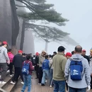 黄山旅游 缩略图 5